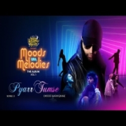 Karlo Tum Kadar Hamari - Salman Ali Mp3 Song