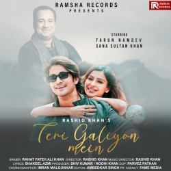 Teri Galiyon Mein - Rahat Fateh Ali Khan Mp3 Song