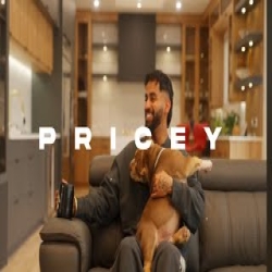 Pricey - Jerry Mp3 Song