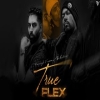 True Flex - Parmish Verma ft. Bohemia