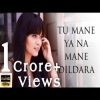Tu Mane Ya Na Mane Dildara