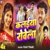 Kalaiya Rowela - Vinay Tiwari