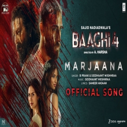 Marjaana (Baaghi 4) - B Praak, Siddhaant Miishhraa Mp3 Song