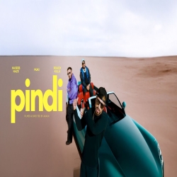 PINDI - Roach Killa Mp3 Song