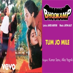 Tum Jo Mile - Alka Yagnik, Kumar Sanu Mp3 Song