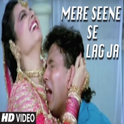 Mere Seene Se Lag Ja - Alka Yagnik Mp3 Song