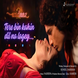 Tere Bin Kahin Dil Na Lagey - Palak Muchhal, Mohammed Irfan Mp3 Song