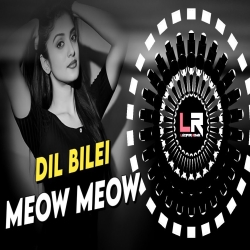 Dil Bilei Meow Meow (EDM x CIRCUIT MIX) - VIRAL ODIA DJ Mp3 Song