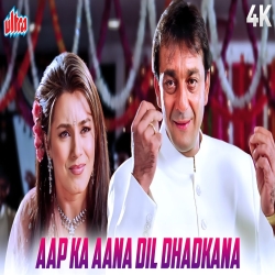 Aap Ka Aana Dil Dhadkana - Alka Yagnik, Kumar Sanu Mp3 Song