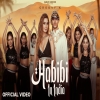 Habibi in India - Groovy K