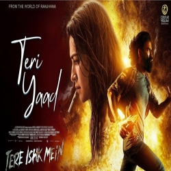 Teri Yaad - Tere Ishk Mein Mp3 Song