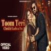 Toom Teri Chokhi Gadwa Du - Raj Mawar, Anjali 99