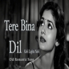 Tere Bina Dil Kahi Lagta Nahi - Old Hindi Romantic Song