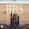 FEELS - AMRIT MAAN