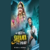 Meri Shyama Pyaari - Nikhil Verma
