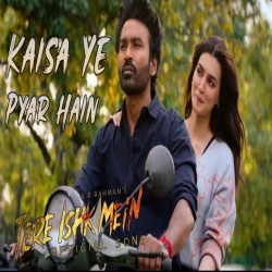 Kaisa Ye Pyar Hain (Tere Ishq Main) Mp3 Song