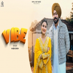 VIBE - Naibb Singh Mp3 Song