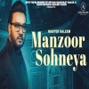 Manzoor Sohneya - Master Saleem