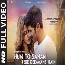 Hum To Sanam Tere Deewane Hain - SB Dhadshi Mp3 Song