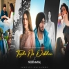 Tujhe Na Dekhun X Noor Mahal X Nain Tere (Mega Mashup)