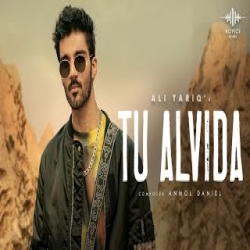 Tu Alvida - Ali Tariq Mp3 Song