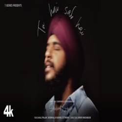 Tu Hai Sab Hai - Savneet Singh Mp3 Song