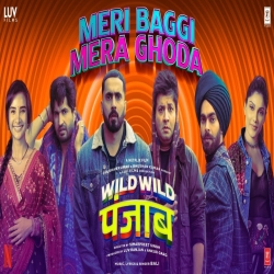 Meri Baggi Mera Ghoda - Bali Mp3 Song