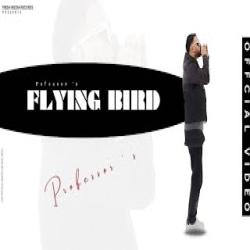 Flying Bird - Professor Mp3 Song
