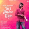 Teri Yaadon Mein - Vishal Sharma
