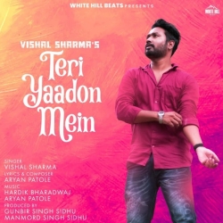 Teri Yaadon Mein - Vishal Sharma Mp3 Song