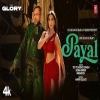 Payal - Yo Yo Honey Singh, Paradox