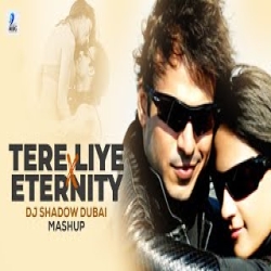 Tere Liye X Eternity (Mashup) DJ Shadow Dubai Mp3 Song