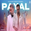 Payal (MegaMix) - Yo Yo Honey Singh ft. Bohemia