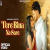 Tere Bina Na Sare - Shiva Choudhary
