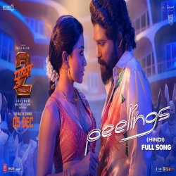 Feelings - Pushpa 2 Mp3 Song