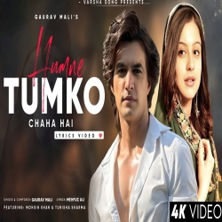 Humne Tumko Chaha Hai Mp3 Song