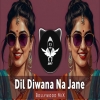 Dil Diwana Na Jane (Remix)