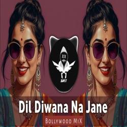 Dil Diwana Na Jane (Remix) Mp3 Song