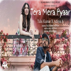 Tera Mera Pyaar - Tulsi Kumar, Aditya A Mp3 Song