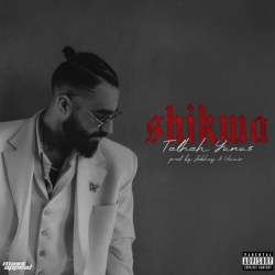 Mera Bhai - Talhah Yunus Mp3 Song