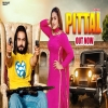 Pittal - PS Polist