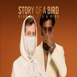 Story of a Bird - Alan Walker, KING Mp3 Song
