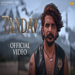 Tandav - Gulzaar Chhaniwala Mp3 Song