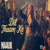 Dil Thaam Ke - Rashmeet Kaur, Rana Majumdar