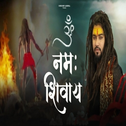 Om Namah Shivay - Shekhar Jaiswal Mp3 Song