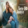 Tere Ho Jaaye - Mithoon, Papon
