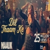 Dil Thaam Ke (Maalik) - Rashmeet Kaur, Rana Majumdar