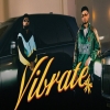 Vibrate - KRSNA, Ft. Badshah
