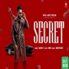 Secret - Sarthi K