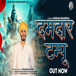 Damdar Tampu - Avinash Selothi Mp3 Song